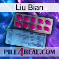 Liu Bian 35